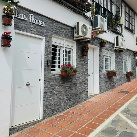 Flores 4 Marbella